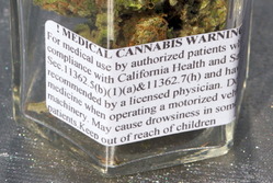 Detail_of_Medical_Cannabis_label_small_2.jpg